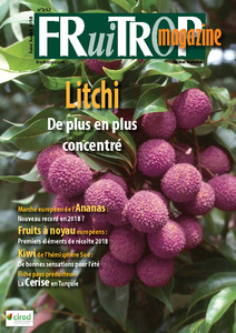 Miniature du magazine Magazine FruiTrop n°257 (mercredi 04 juillet 2018)